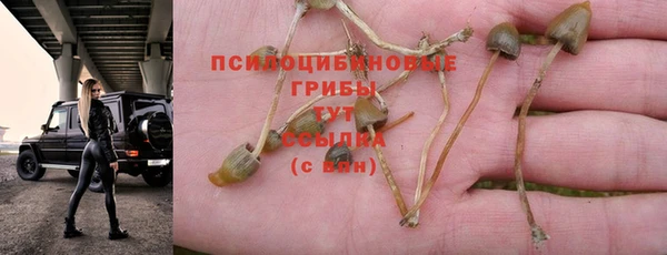 круглые Алексин