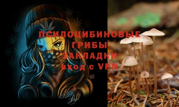 круглые Алексин