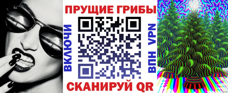 Псилоцибиновые грибы ЛСД  где купить наркоту  Белореченск 