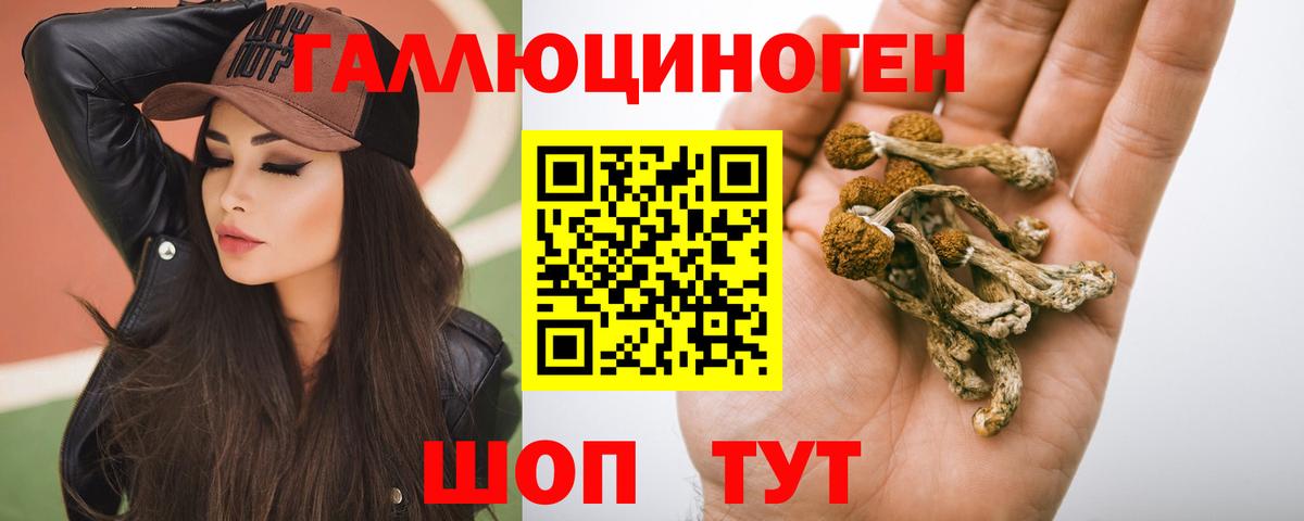 Псилоцибиновые грибы Psilocybine cubensis  Вход с VPN  Белореченск  Галлюциногенные грибы Psilocybe 
